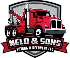 Nelo & Sons Towing & Recovery LLC